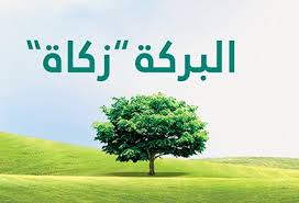 بركة